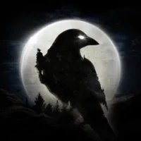 NIGHT CROWS